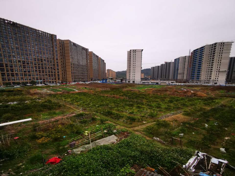 苍南县苏氏二手车
