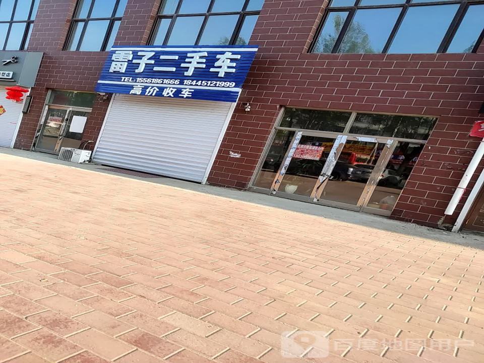 雷子二手车