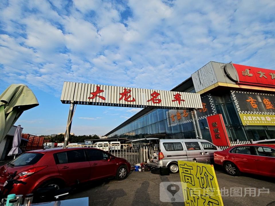 大龙名车(循顺店)