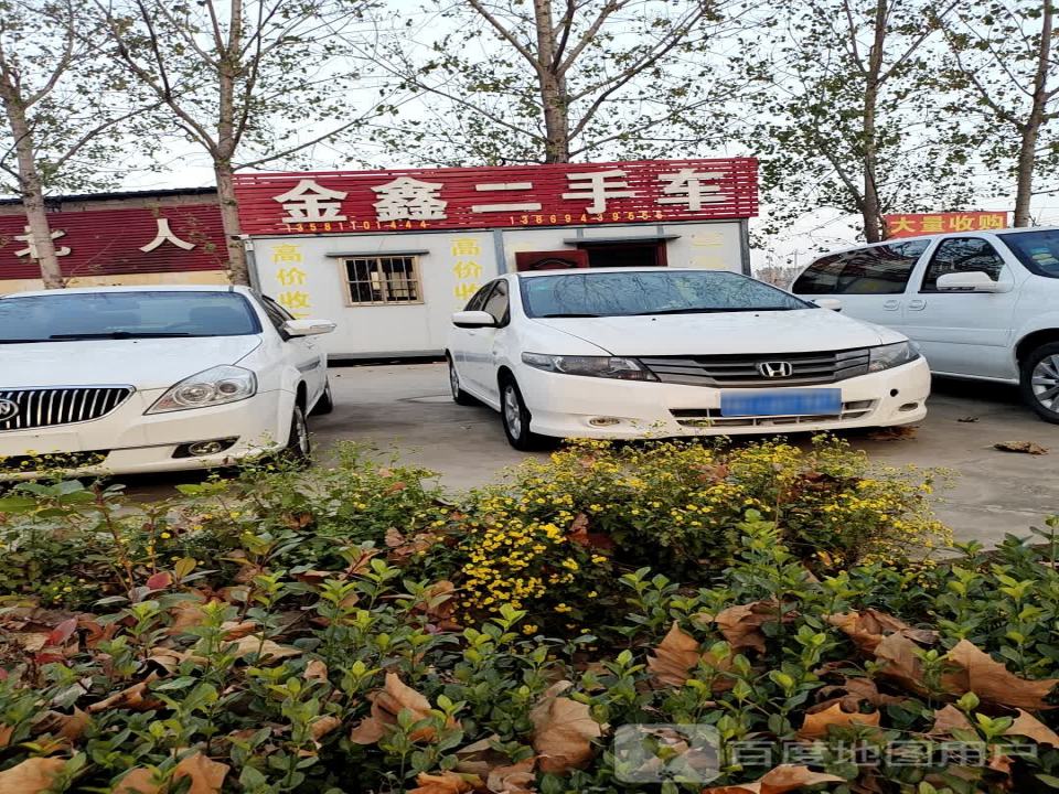 金鑫二手车(凤城路)