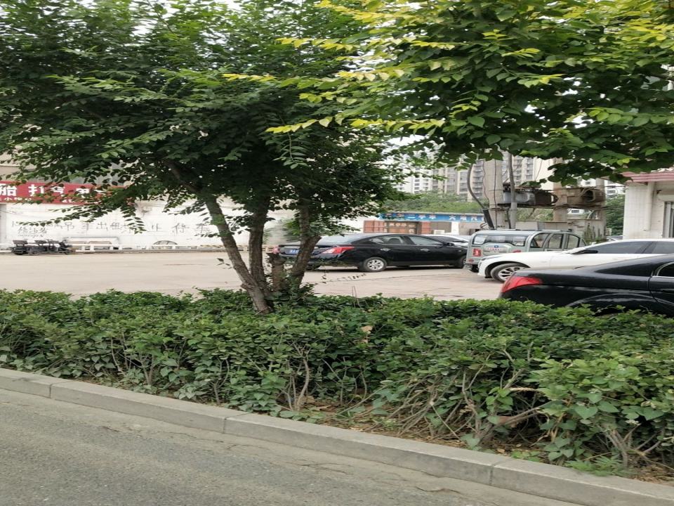 县标二手车