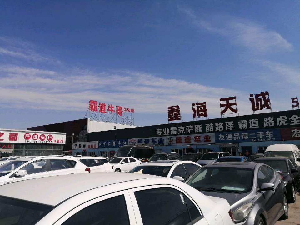 霸道牛哥