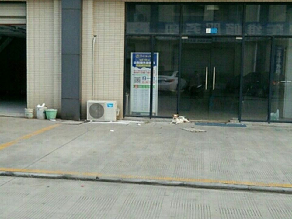 能手汽车凹陷修复玻璃修复