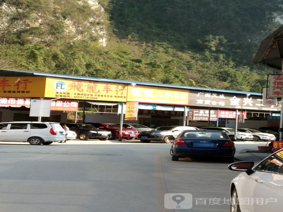 河池市飞龙二手车行(瑞临线)