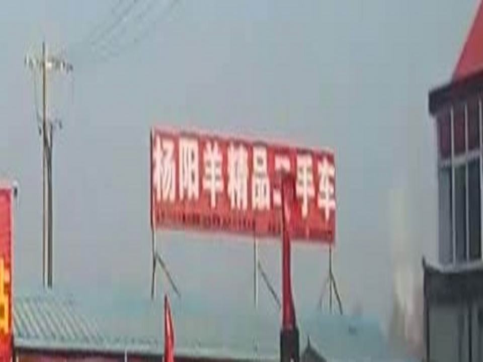 杨阳羊二手车