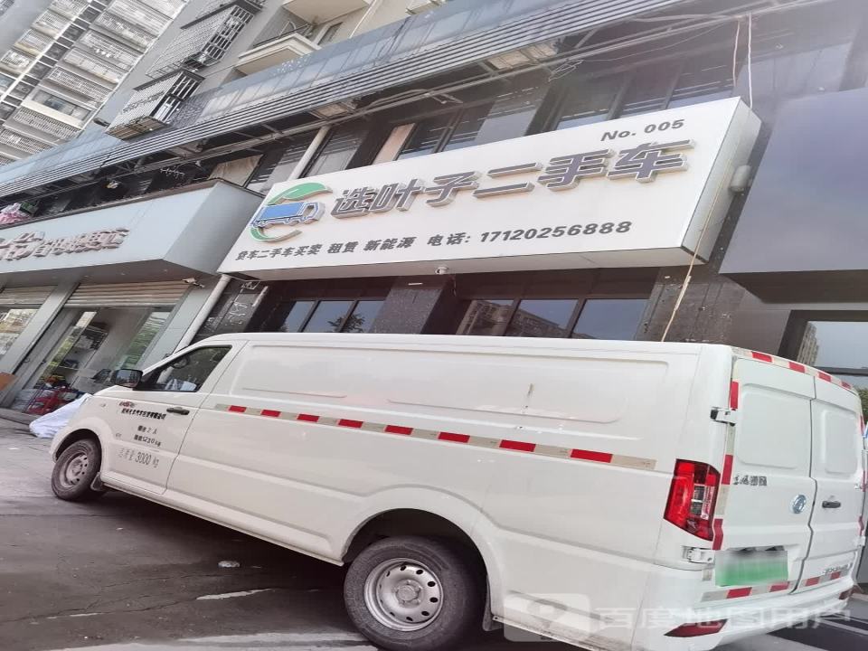 选叶子二手车
