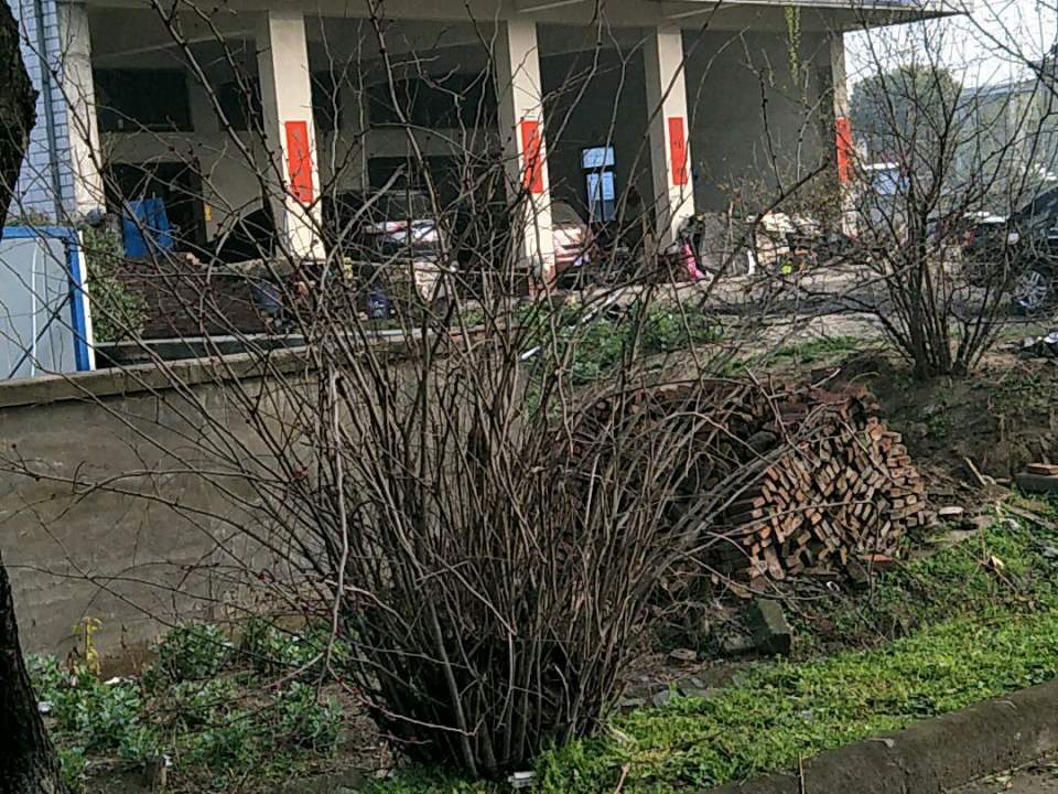 扬泰二手汽车置换寄卖交易中心