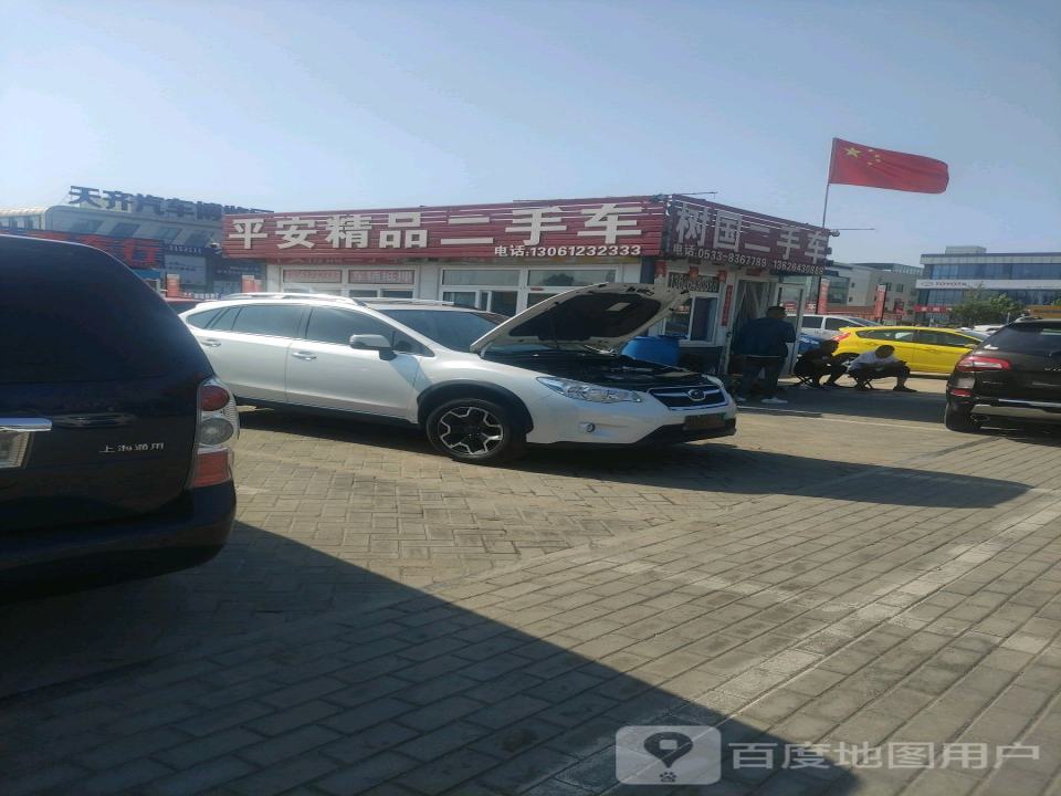 树国二手车