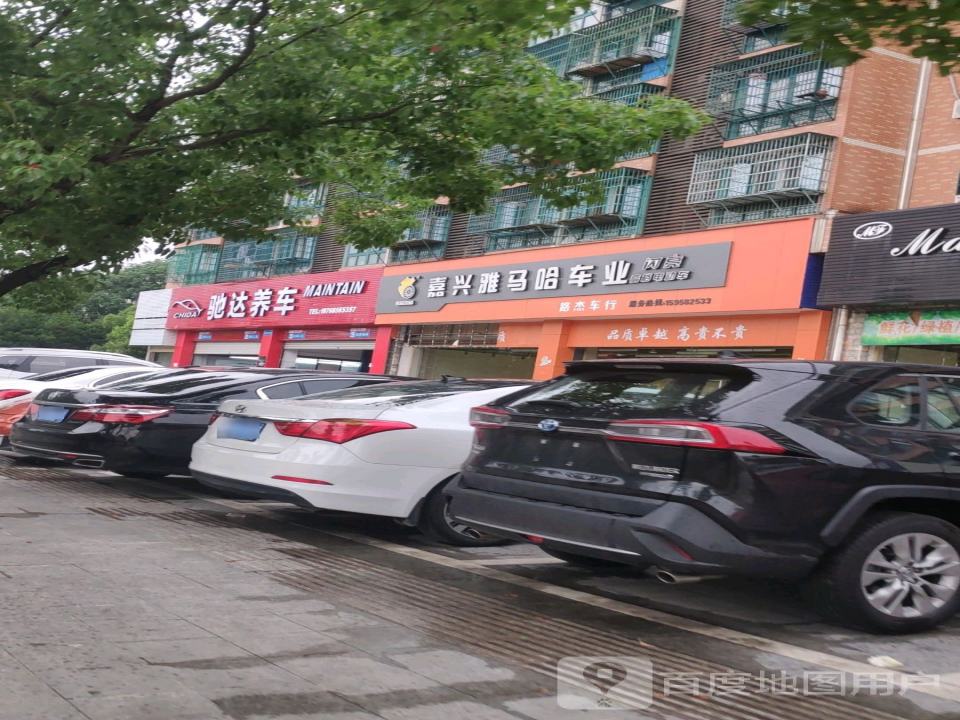 驰达养车