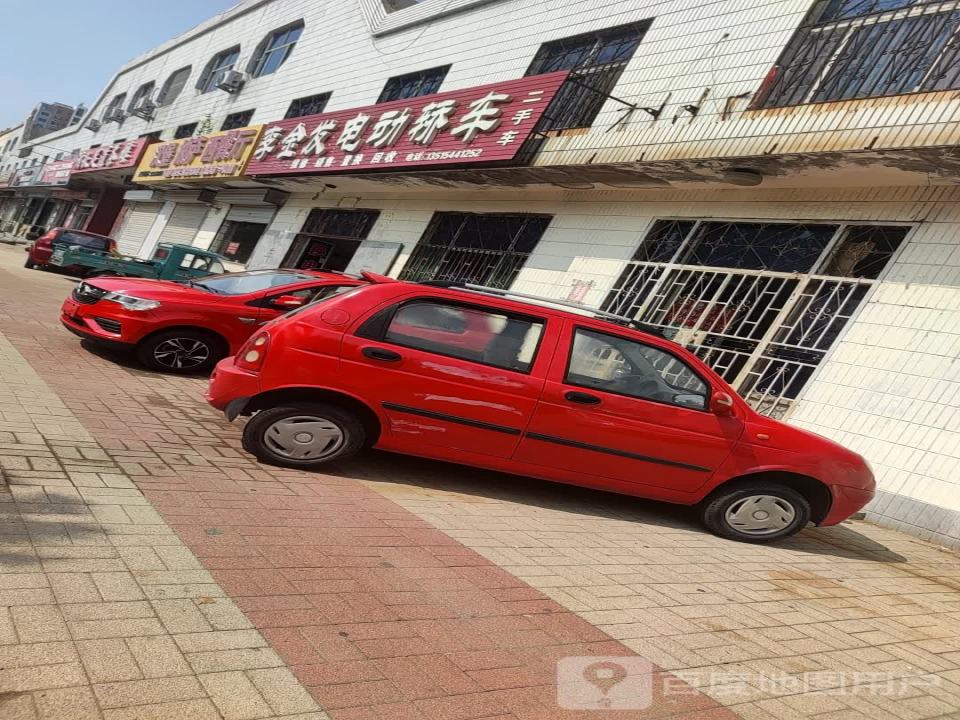 李金发电动轿车二手车