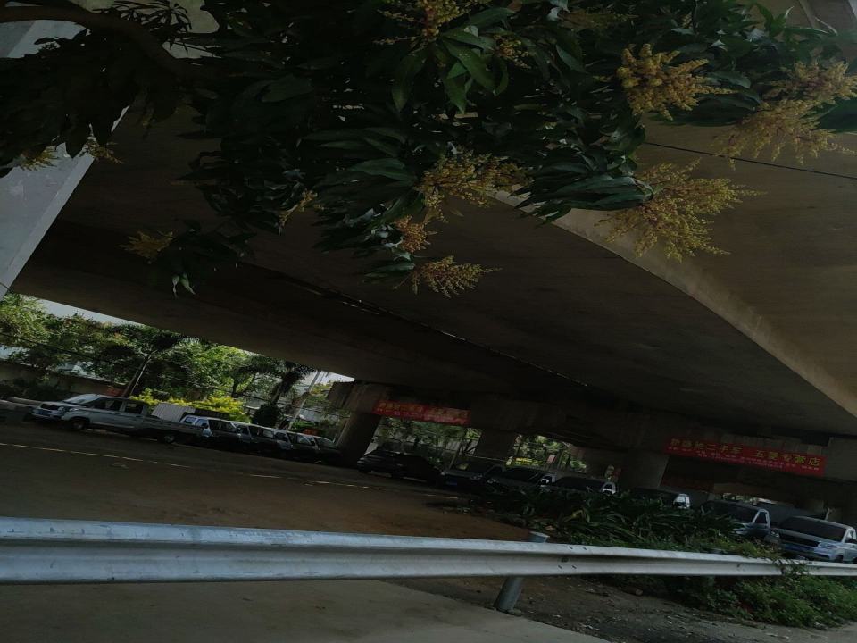 新盛驰二手车