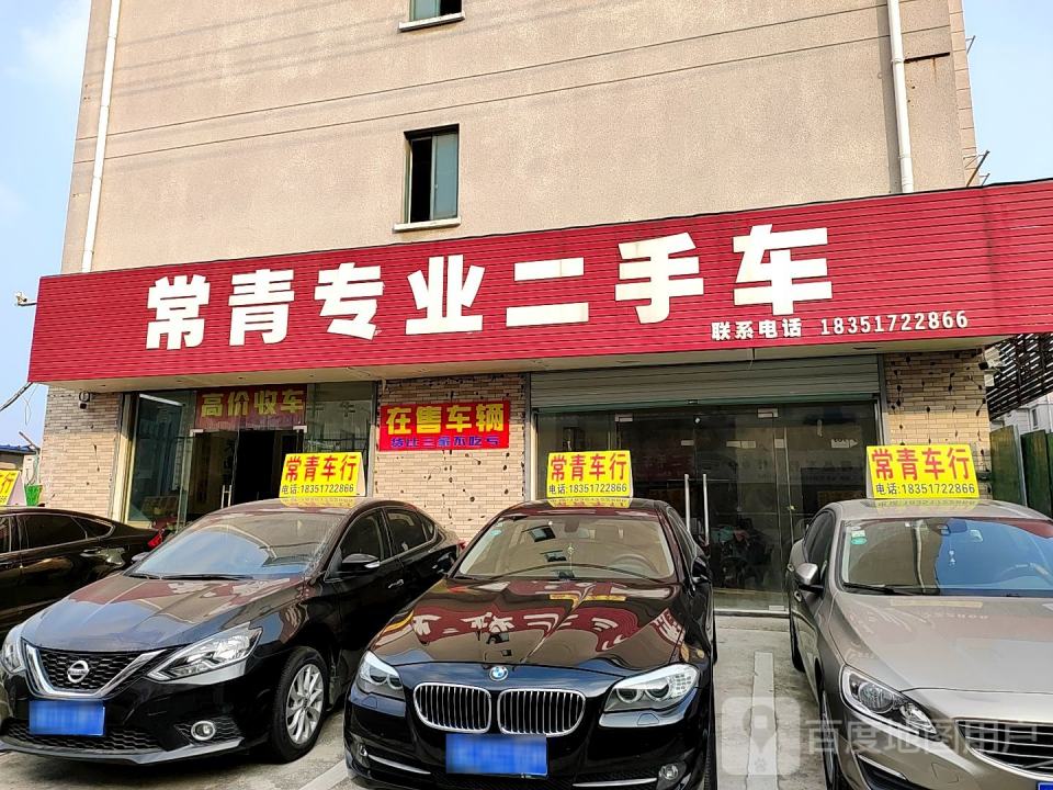 常青专业二手车