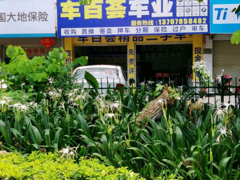 车百荟二手车
