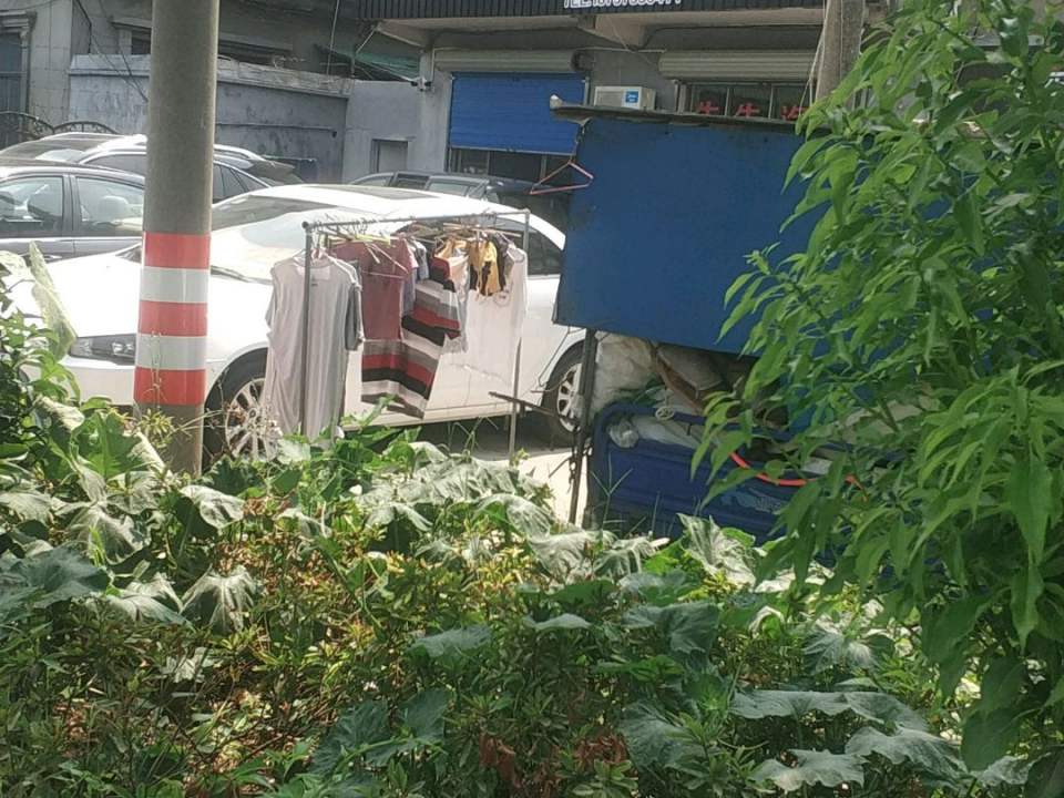 牛牛二手车