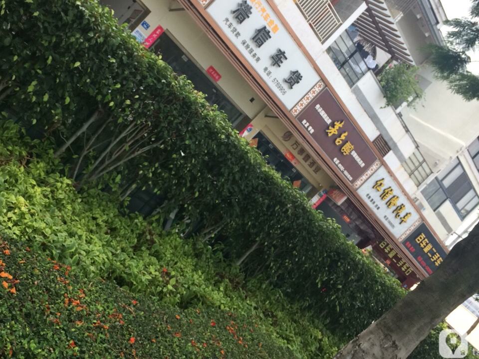 百车堂二手车