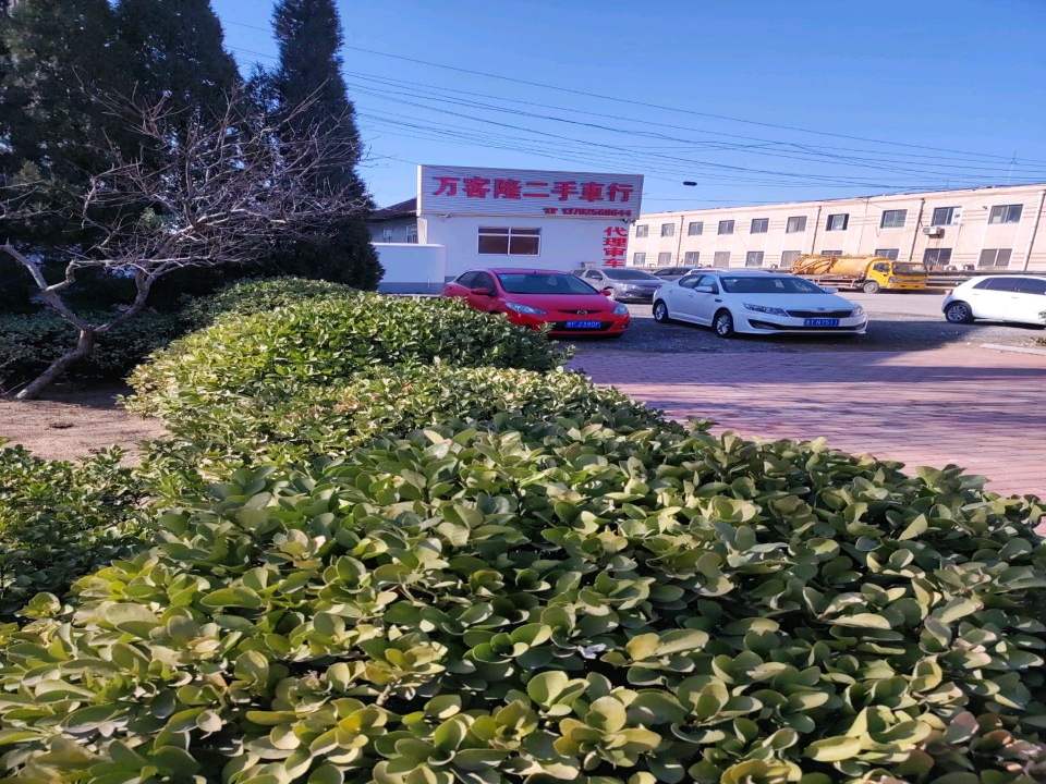 万客隆二手车行