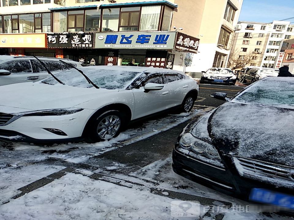 鹏飞车业