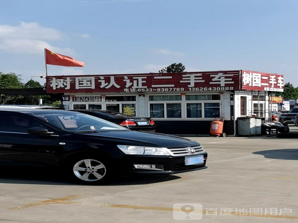 树国二手车
