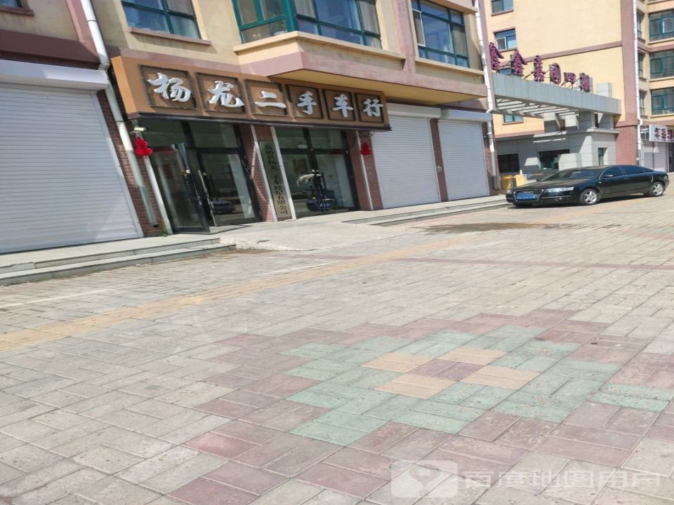 杨龙二手车行