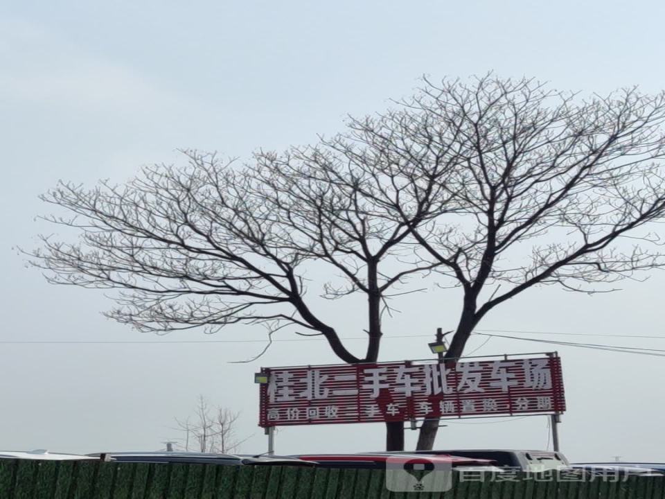 桂北二手车批发车场