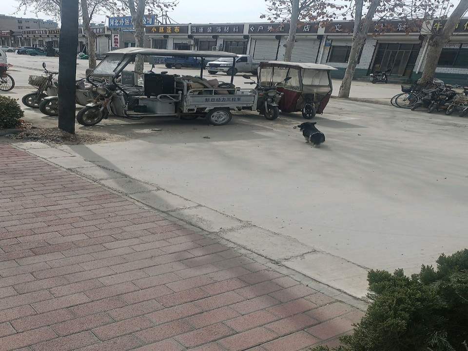 正南二手车