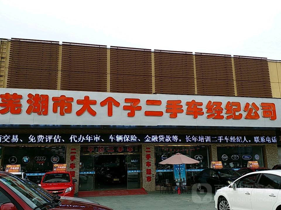 大个子二手车
