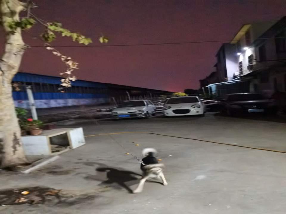 鲁盛二手车