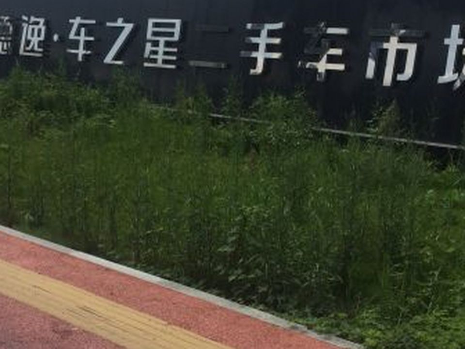 台州德逸车之星二手车交易市场