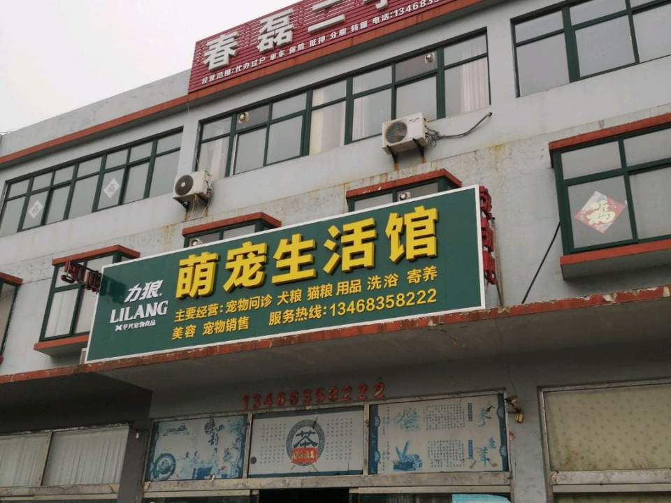 春磊二手车