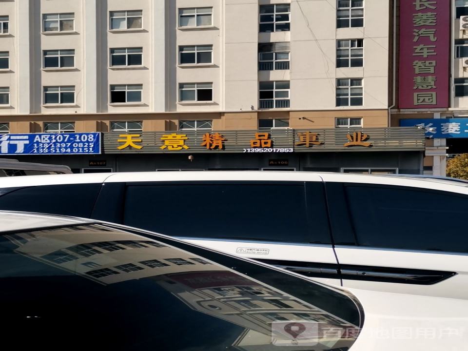天意精品车业