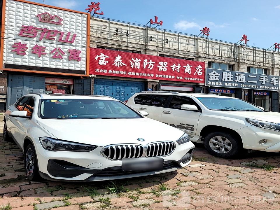 金胜童二手车