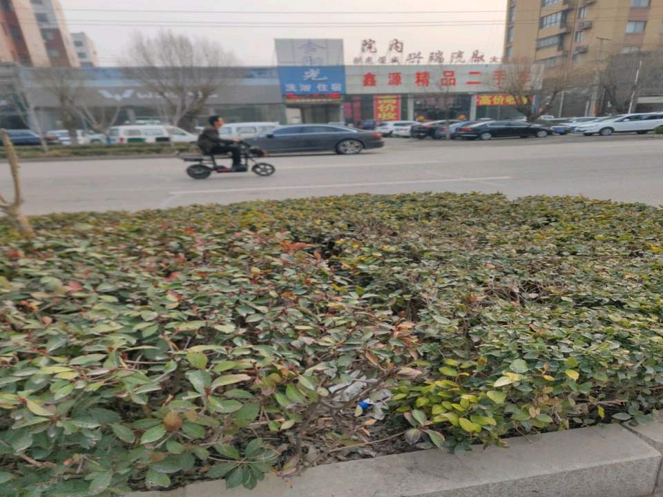 诚信精品二手车(雪枫西路)