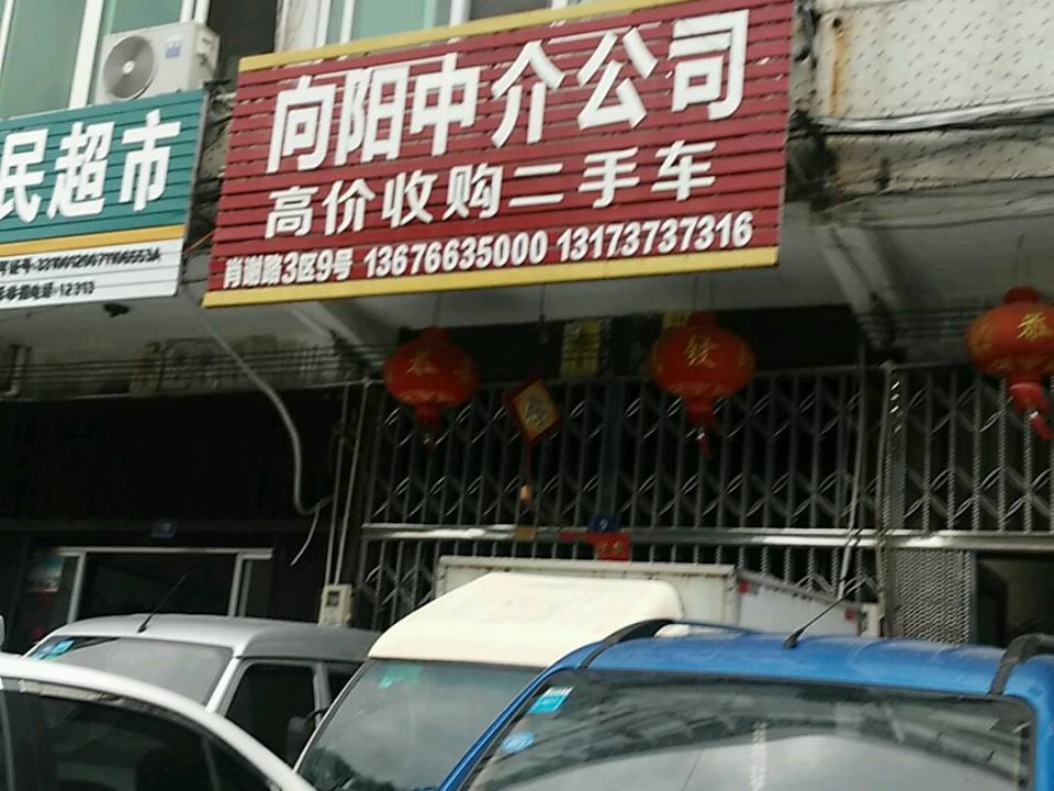 向阳中介公司