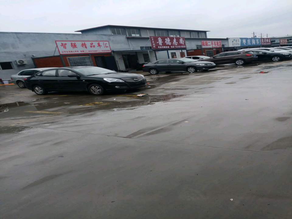 阳阳二手车批发