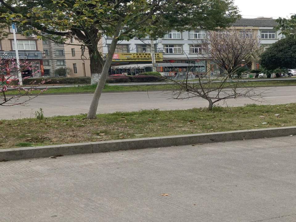 汇友二手车(沿海大道)