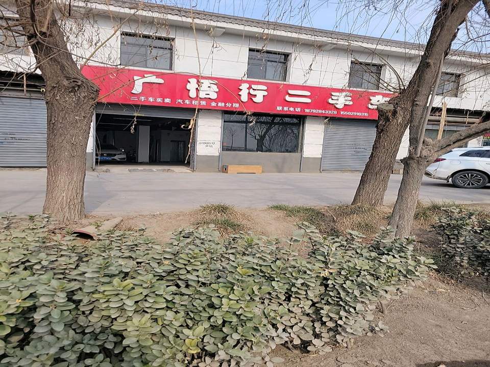 广悟行二手车