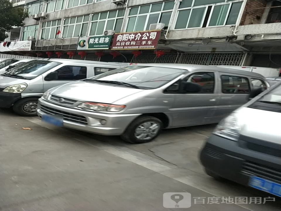 向阳中介公司