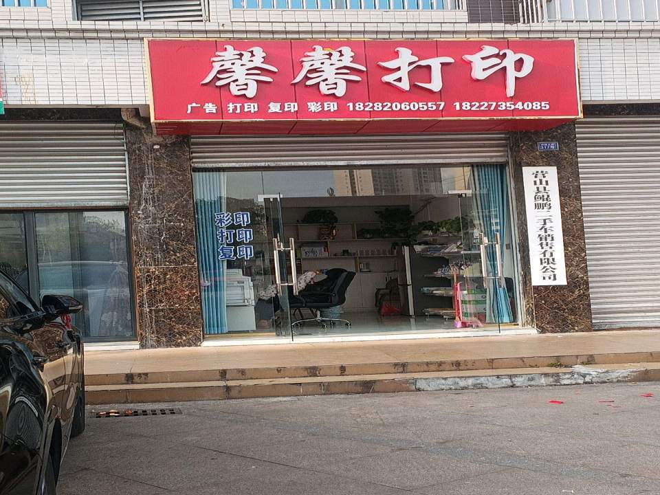 营山县鲲鹏二手车销售有限公司