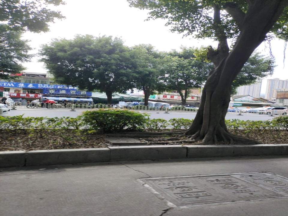 顺联二手车
