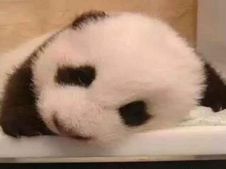 泉州二手市场
