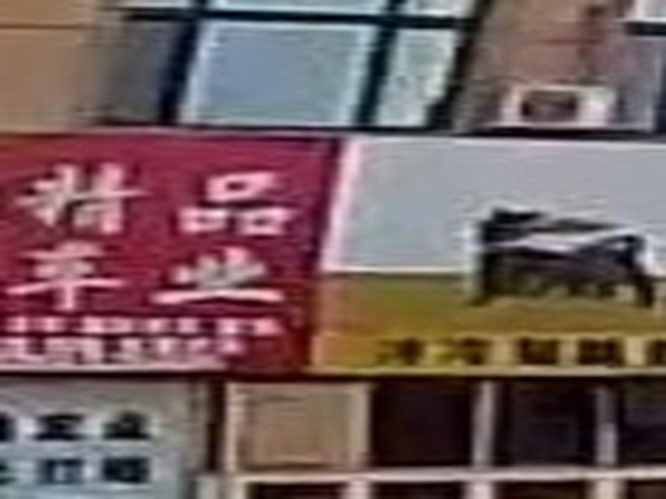 精品车业