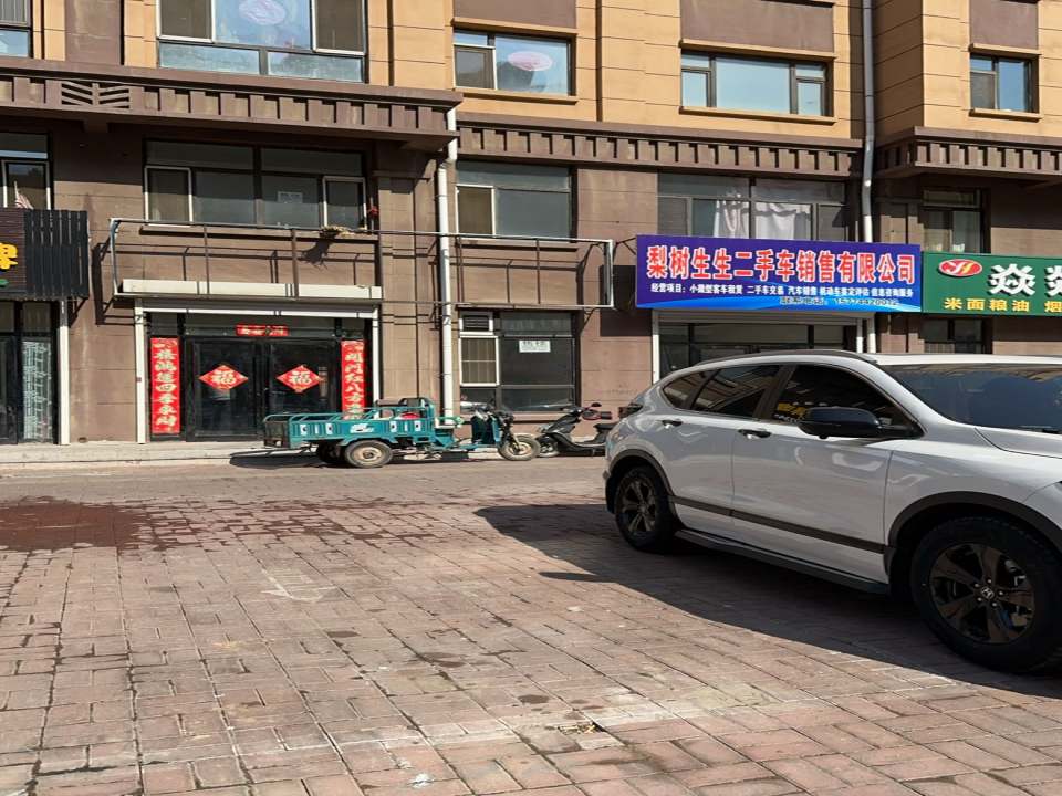 梨树生生二手车销售有限公司