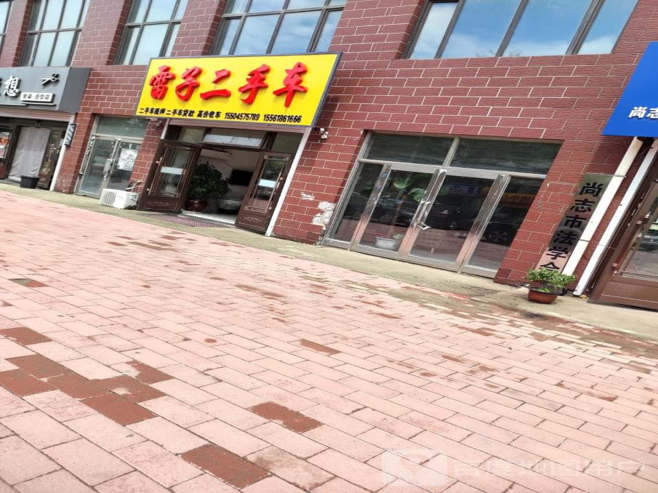 雷子二手车