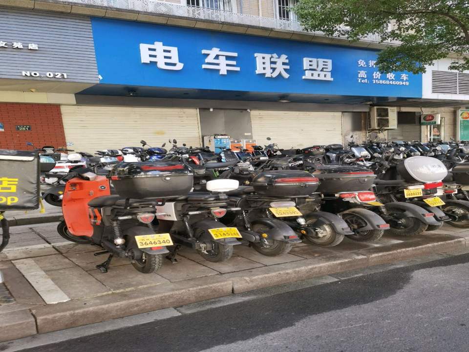 电车联盟(免押租车 二手车)