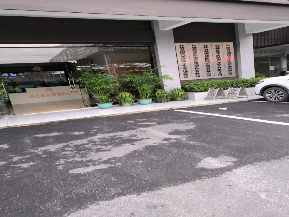 真龙集团