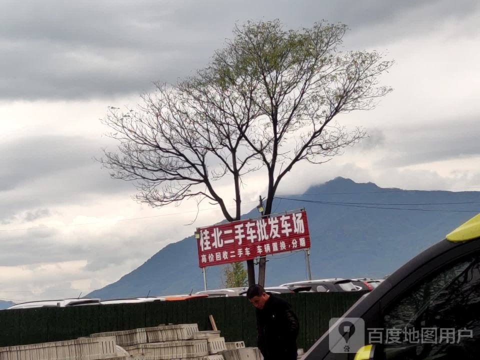 桂北二手车批发车场