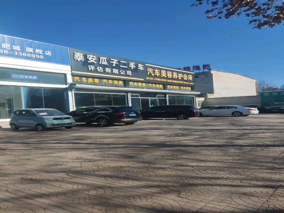 泰安瓜子二手车(泰临路)