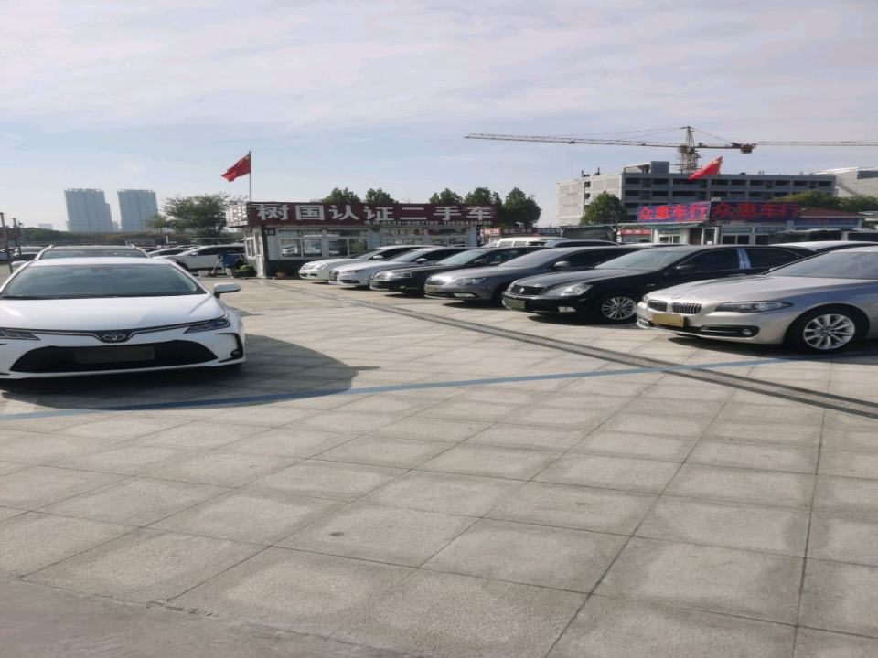 树国二手车