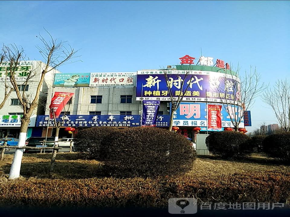 鹏城二手车批发行