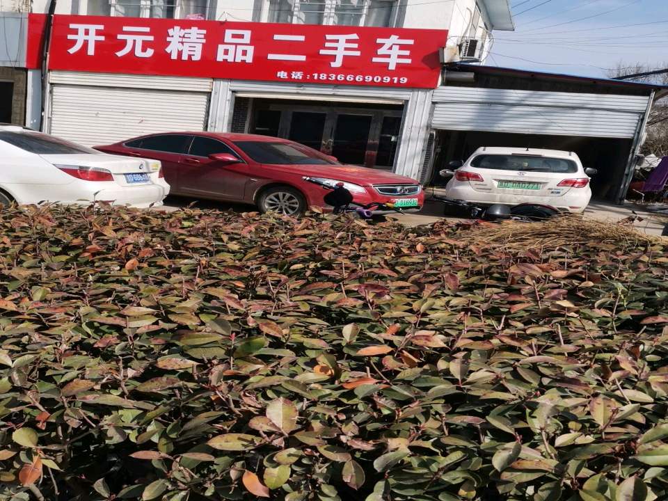 开元精品二手车